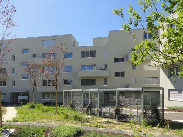 Rent a 3 ½ rooms apartment in Aarburg Flatfox