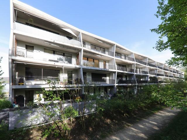 Rent a 3 ½ rooms apartment in Aesch Flatfox