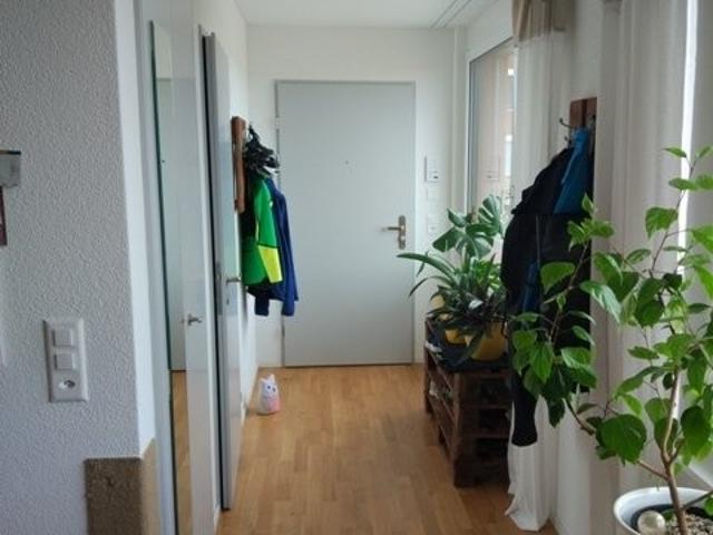 Rent a 3 ½ rooms apartment in Arbon Flatfox