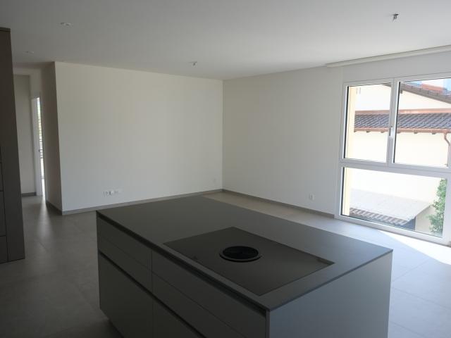Rent a 3 ½ rooms apartment in Ascona Flatfox