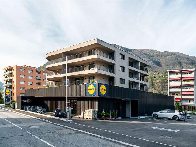Rent a 3 ½ rooms apartment in Ascona Flatfox