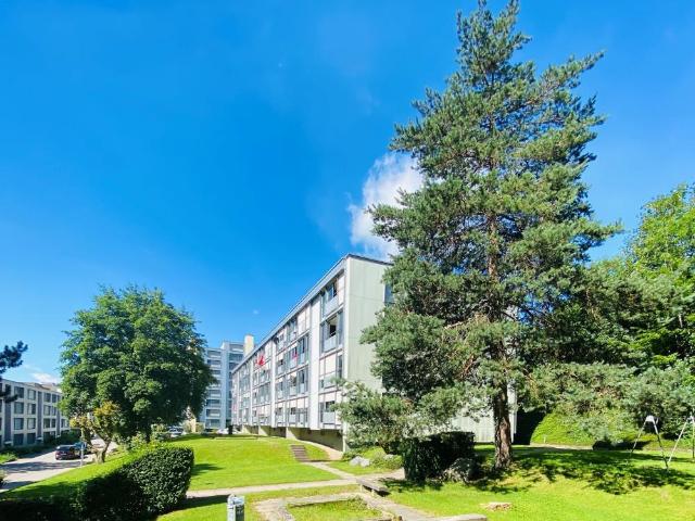 Rent a 3 ½ rooms apartment in Bazenheid Flatfox