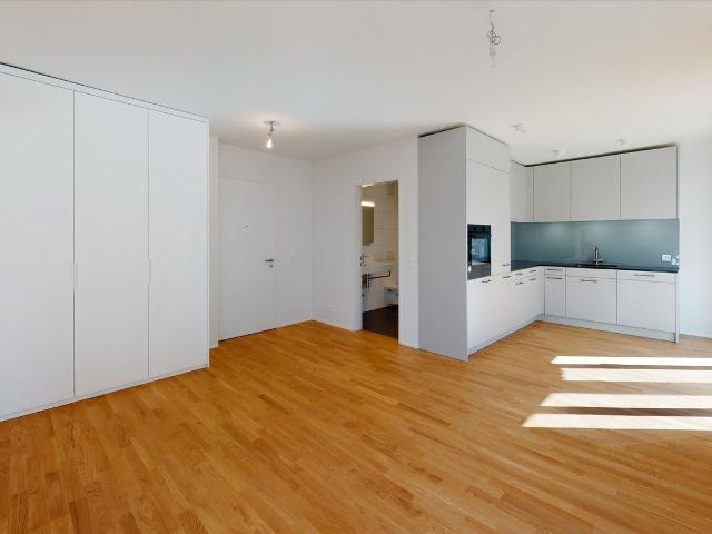 Rent a 3 ½ rooms apartment in Basel Flatfox