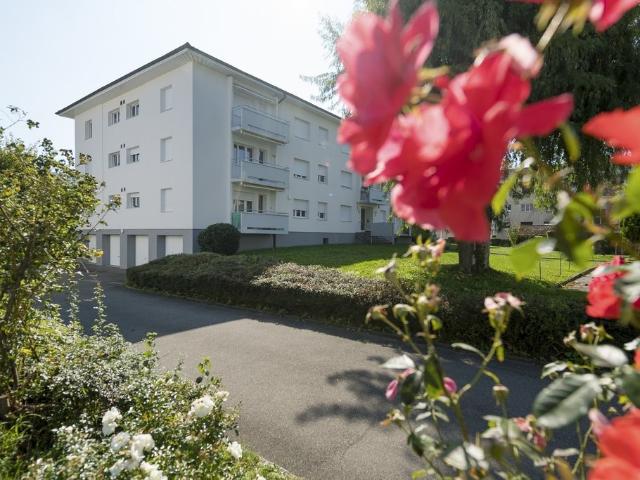 Rent a 3 ½ rooms apartment in Belp Flatfox