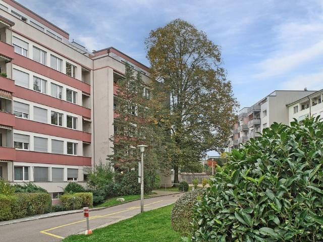 Rent a 3 rooms apartment in Binningen Flatfox