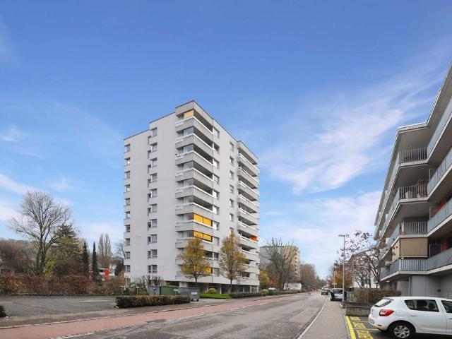 Rent a 3 ½ rooms apartment in Binningen Flatfox