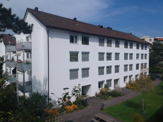 Rent a 3 ½ rooms apartment in Birsfelden Flatfox