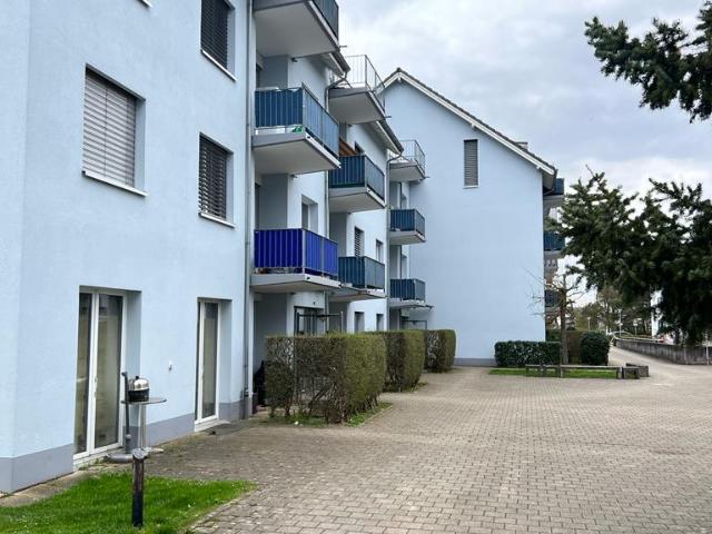 Rent a 3 ½ rooms apartment in Breitenbach Flatfox