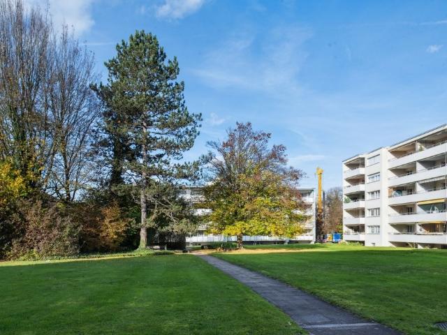 Rent a 3 ½ rooms apartment in Effretikon Flatfox