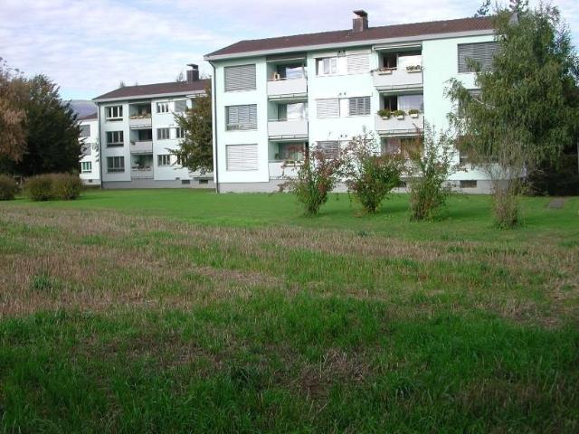 Rent a 3 ½ rooms apartment in Erlach Flatfox