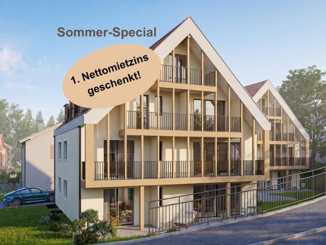 Rent a 3 ½ rooms apartment in Ettingen Flatfox