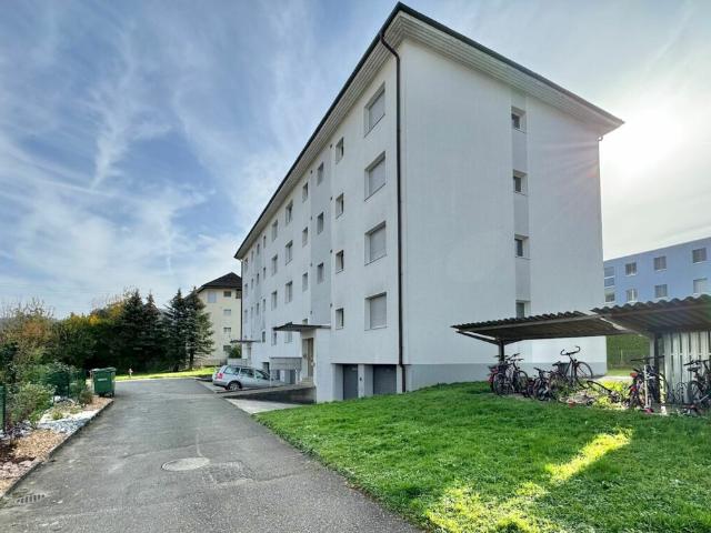 Rent a 3 ½ rooms apartment in Frick Flatfox