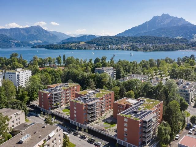Rent a 3 ½ rooms apartment in Luzern Flatfox