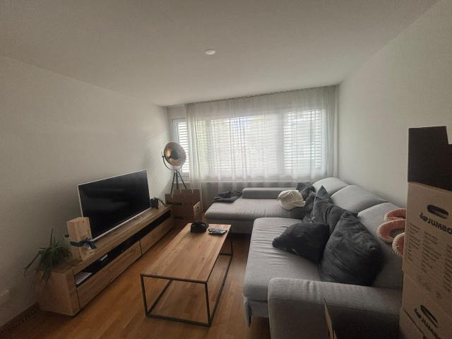 Rent a 3 ½ rooms apartment in Luzern Flatfox
