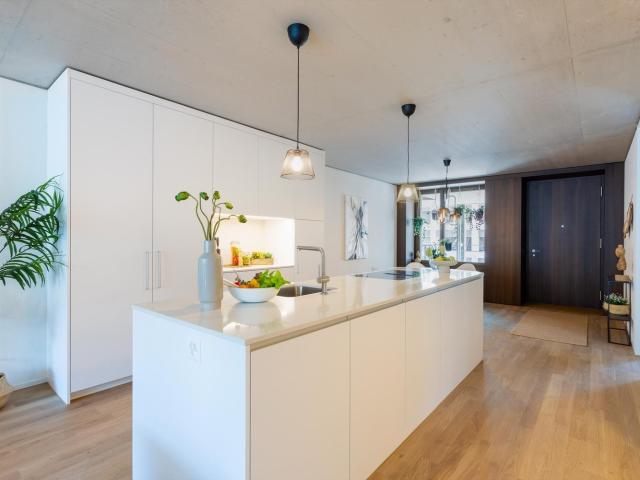 Rent a 3 ½ rooms apartment in Luzern Flatfox