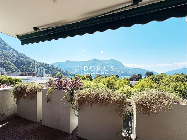 Rent a 3 ½ rooms apartment in Lugano Flatfox