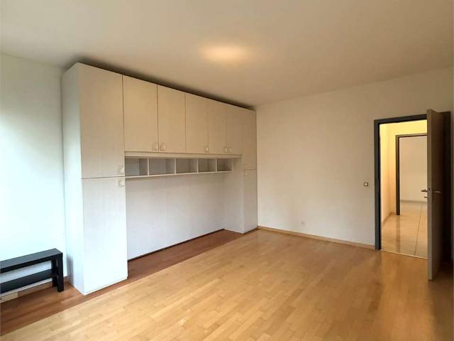 Rent a 3 ½ rooms apartment in Lugano Flatfox
