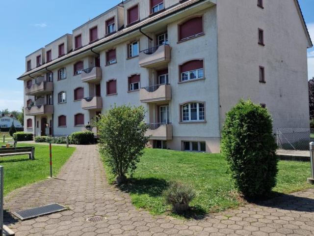 Rent a 3 rooms apartment in Möhlin Flatfox
