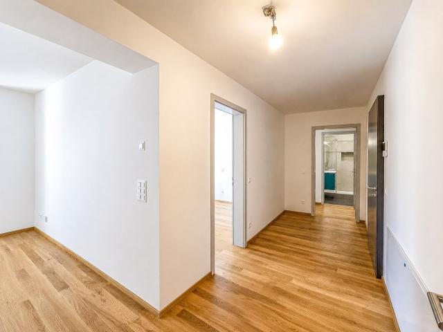 Rent a 3 ½ rooms apartment in Massagno Flatfox