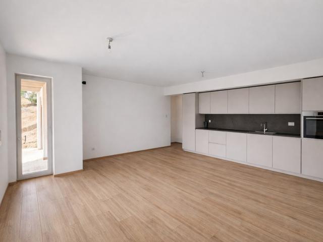 Rent a 3 ½ rooms apartment in Massagno Flatfox