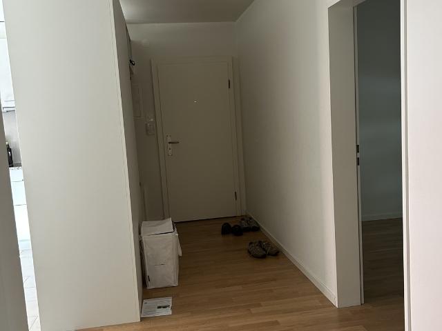 Rent a 3 rooms apartment in Muttenz Flatfox