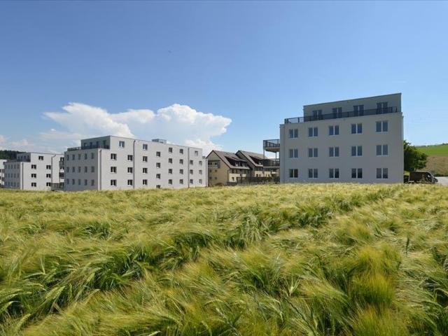 Rent a 3 ½ rooms apartment in Niederwangen b. Bern Flatfox