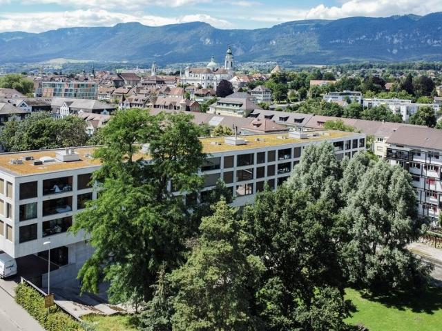 Rent a 3 ½ rooms apartment in Solothurn Flatfox