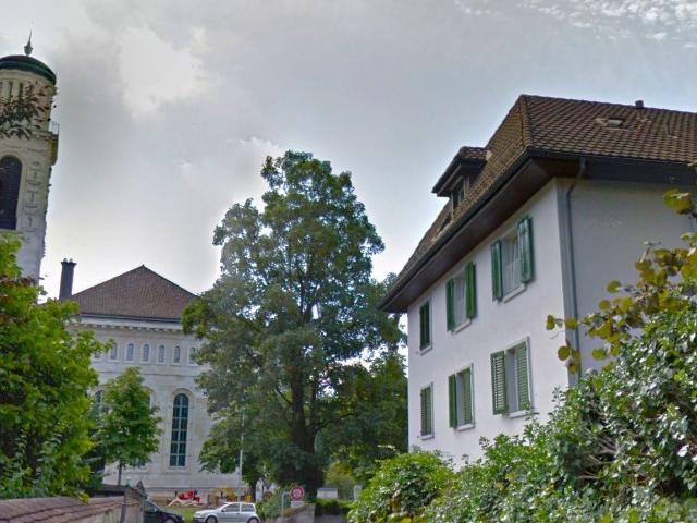 Rent a 3 rooms apartment in Solothurn Flatfox