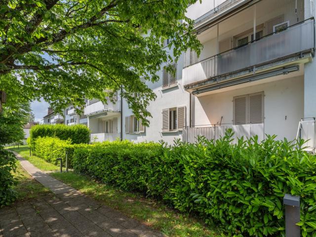 Rent a 3 rooms apartment in Solothurn Flatfox