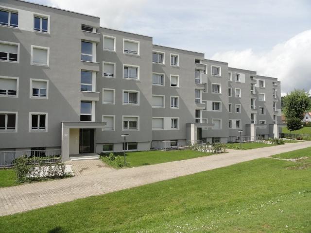Rent a 3 ½ rooms apartment in Schönenwerd Flatfox