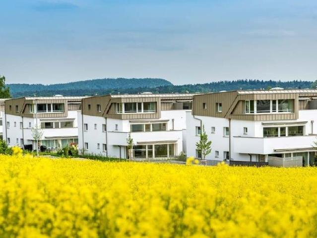 Rent a 3 ½ rooms apartment in Stadel Flatfox