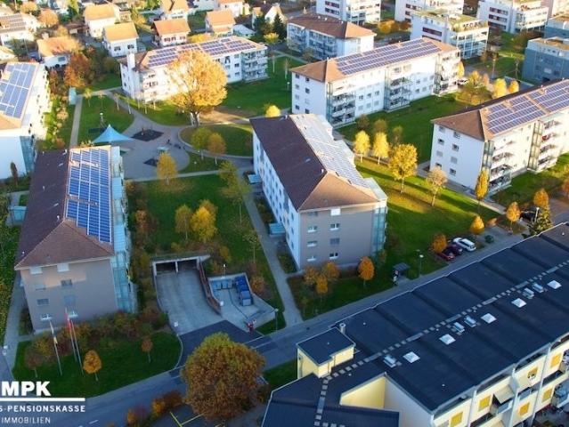 Rent a 3 ½ rooms apartment in Strengelbach Flatfox