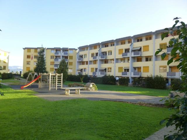 Rent a 3 ½ rooms apartment in Strengelbach Flatfox