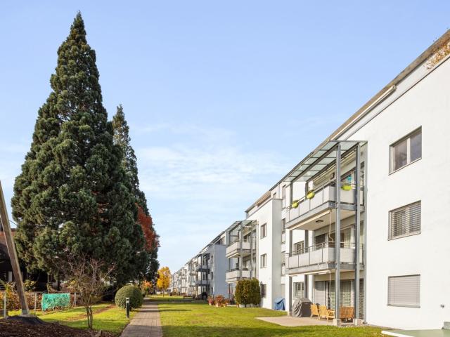 Rent a 3 ½ rooms apartment in Rapperswil SG Flatfox