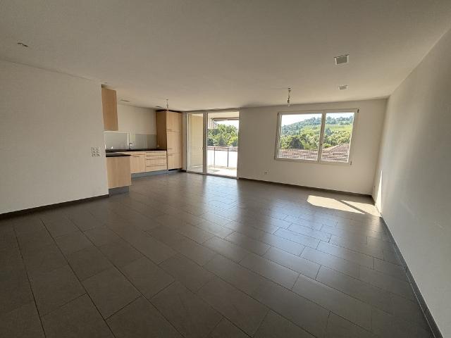 Rent a 3 ½ rooms apartment in Riehen Flatfox