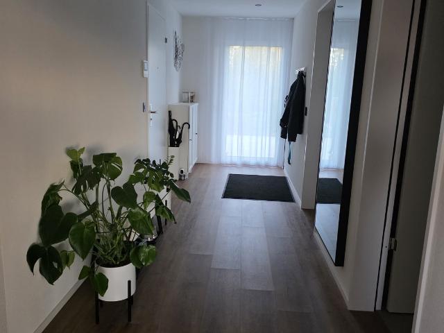 Rent a 3 ½ rooms apartment in Wohlen Flatfox