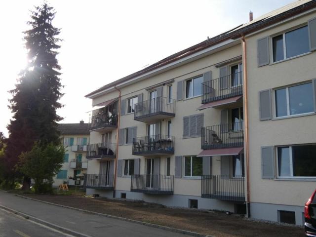 Rent a 3 ½ rooms apartment in Wettingen Flatfox
