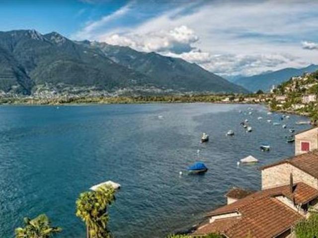 Rent a 3 ½ rooms apartment in Vira Flatfox