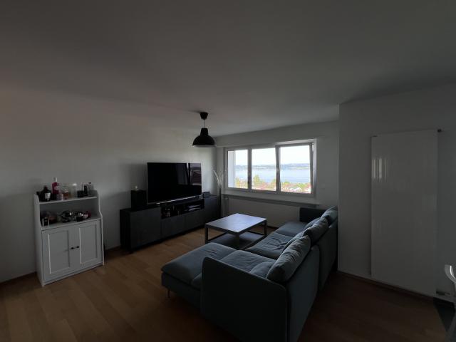 Rent a 3 ½ rooms apartment in Zug Flatfox