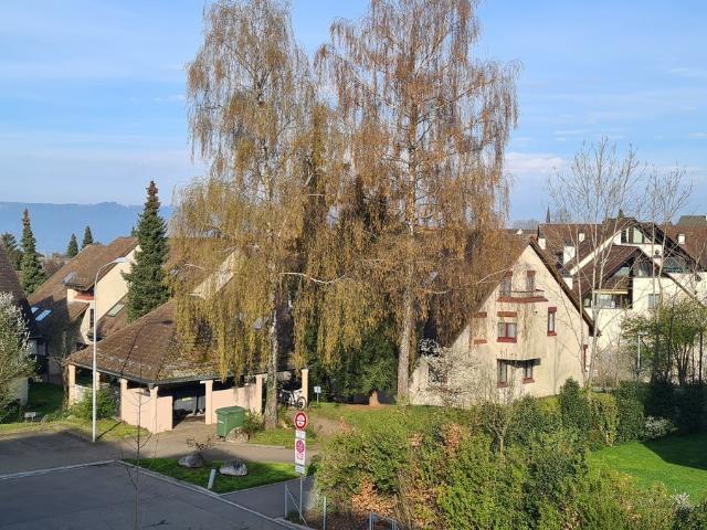 Rent a 3 ½ rooms apartment in Zürich Flatfox