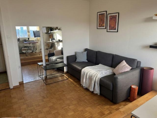 Rent a 3 rooms apartment in Zurich Flatfox