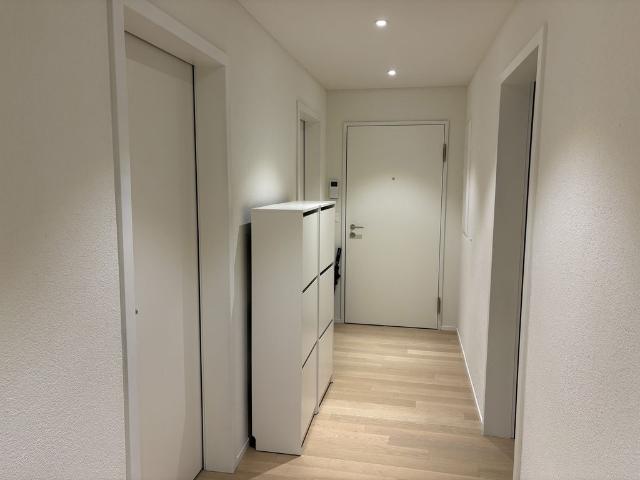 Rent a 3 ½ rooms apartment in Zürich Flatfox