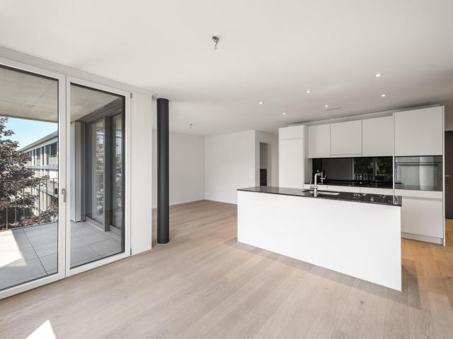 Rent a 3 ½ rooms apartment in Zürich Flatfox