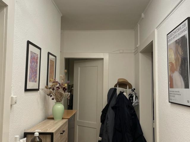 Rent a 3 rooms apartment in Zürich Flatfox