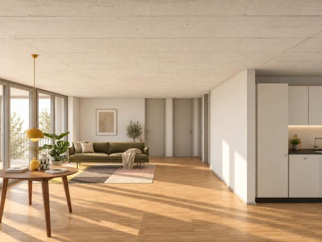 Rent a 3 ½ rooms apartment in Zürich Flatfox