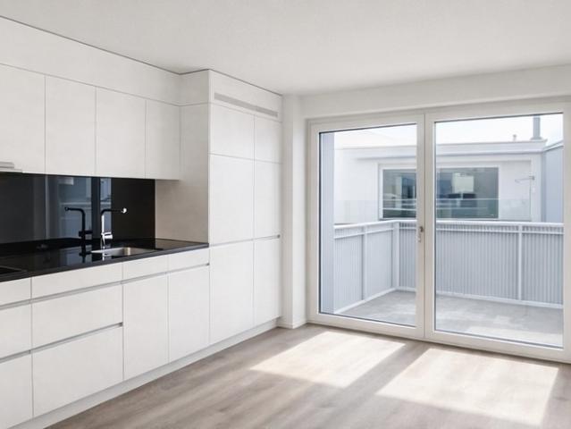 Rent a 3 ½ rooms apartment in Zürich Flatfox