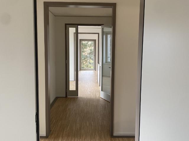 Rent a 3 ½ rooms apartment in Zürich Flatfox