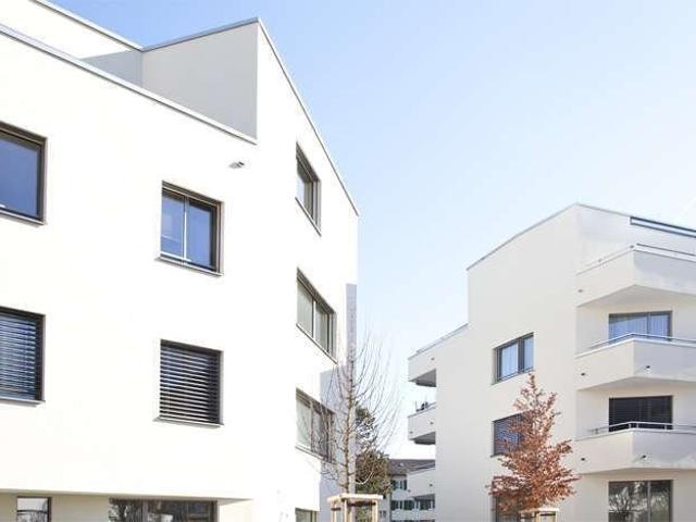 Rent a 3 ½ rooms apartment in Zürich Flatfox