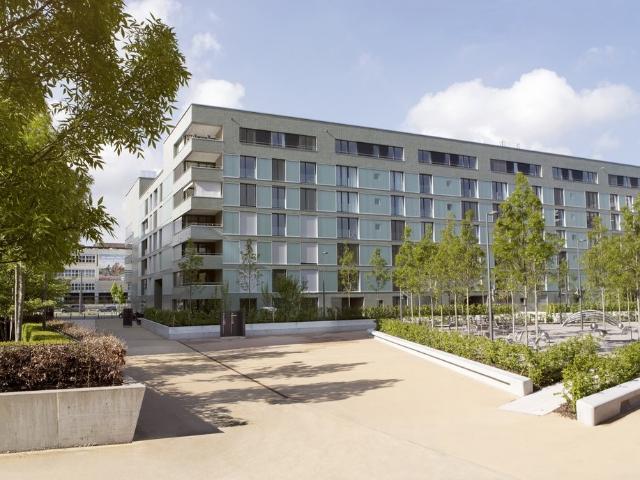 Rent a 3 ½ rooms apartment in Zürich Flatfox