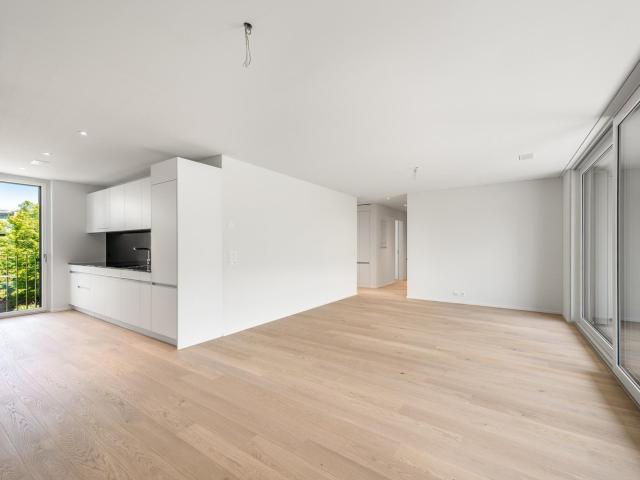 Rent a 3 ½ rooms apartment in Zürich Flatfox